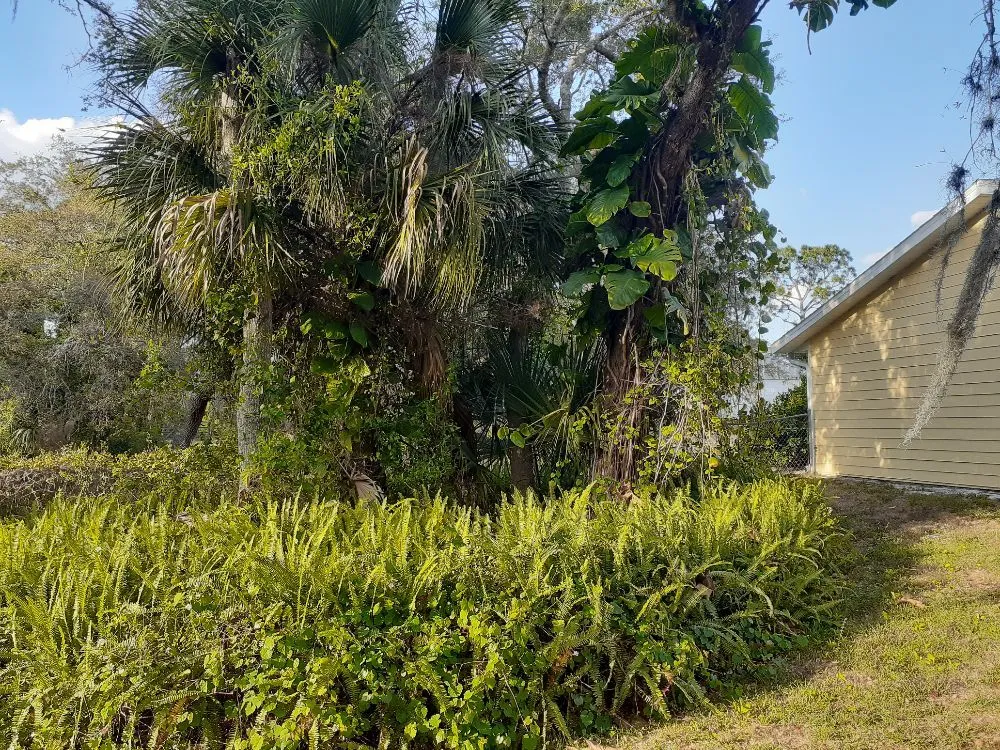 Expert yard maintenance with custom design in Cocoa, FL by Kelp's Lawn Service