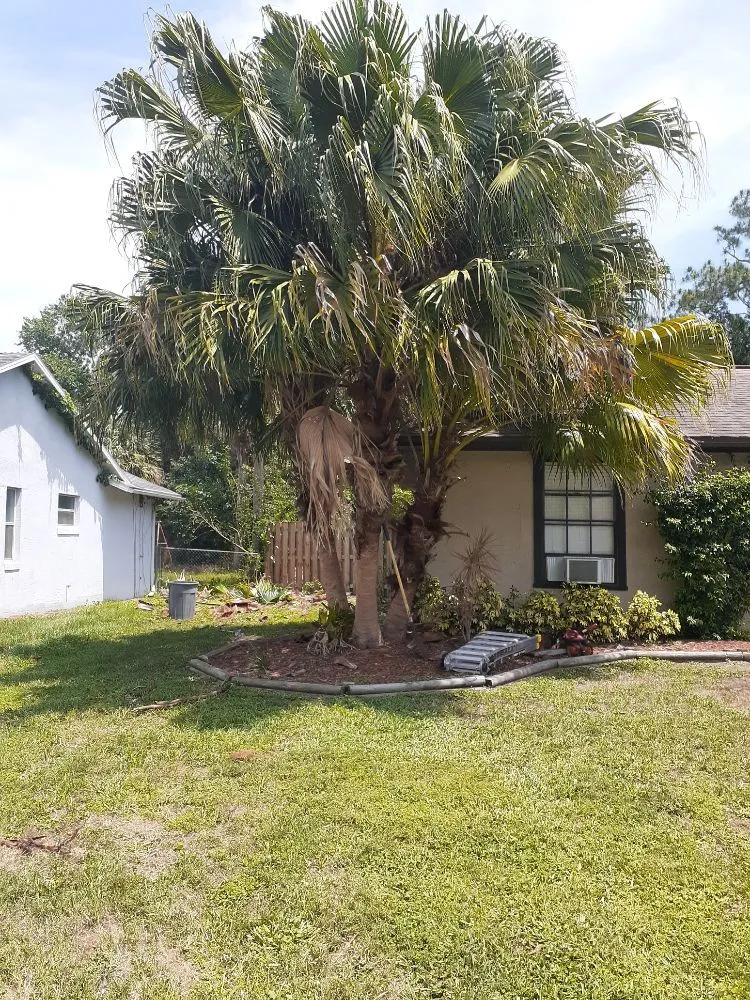 Expert landscaping services for homes across Cocoa, FL - Kelp's Lawn Service