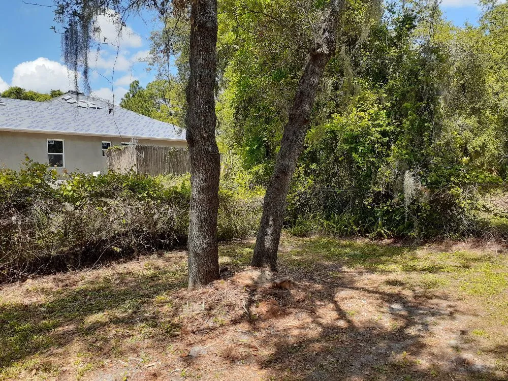 Affordable yard cleanup service with custom design in Cocoa, FL by Kelp's Lawn Service