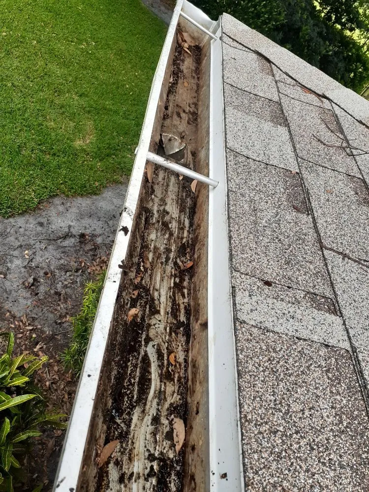 Professional outdoor landscaping in Cocoa, FL - Kelp's Lawn Service