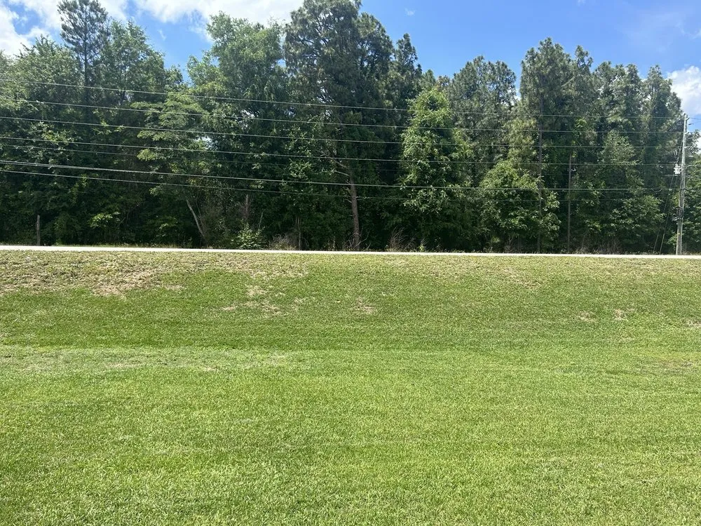 Reliable landscaping services for year-round maintenance in Lexington, SC by Kels Landscaping