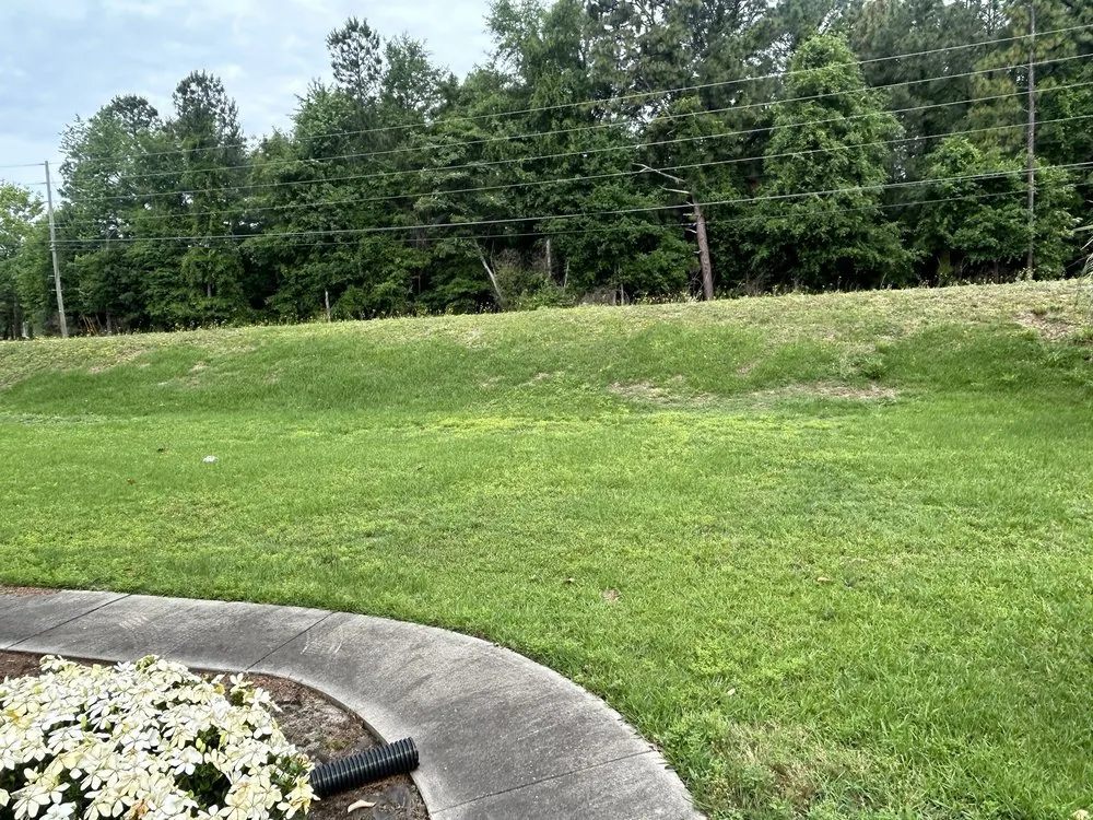 Professional yard maintenance for residential properties across Lexington, SC - Kels Landscaping