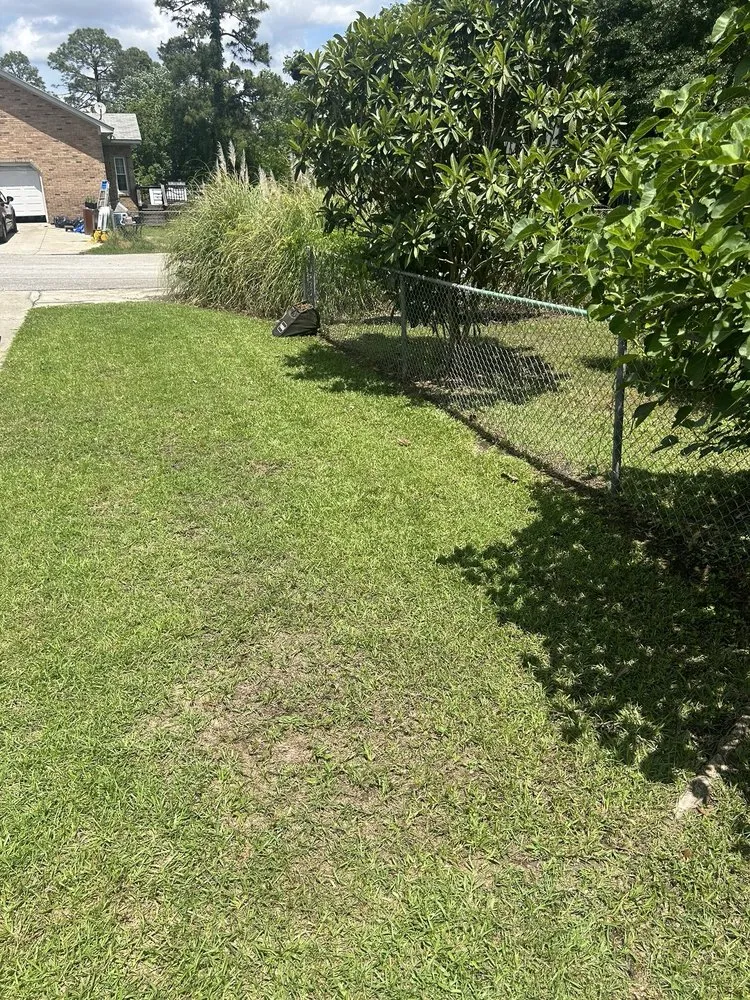 Expert yard cleanup service in Lexington, SC - Kels Landscaping