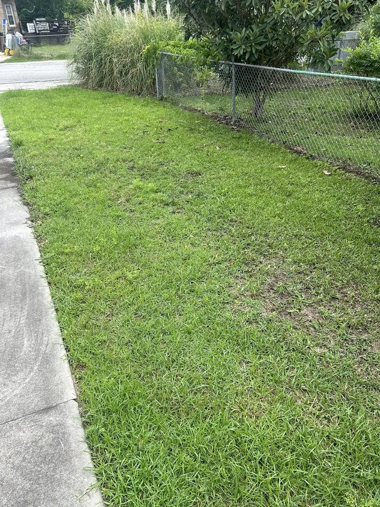 Expert lawn care service for year-round maintenance in Lexington, SC by Kels Landscaping