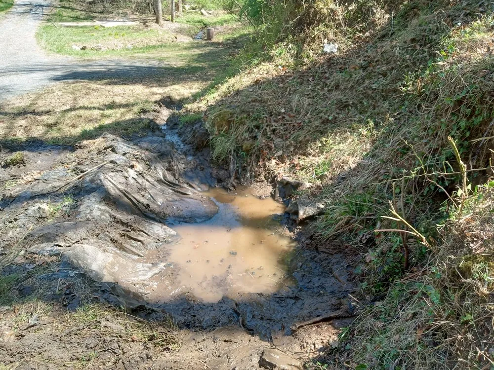 Reliable yard cleanup service for beautiful yards in Spruce Pine, NC by Kel's Outdoor Services and Landscaping