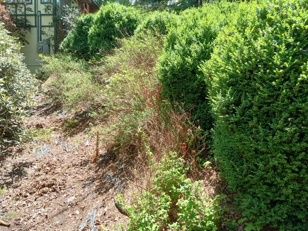 Top-rated landscape design for outdoor upgrades across Spruce Pine, NC - Kel's Outdoor Services and Landscaping