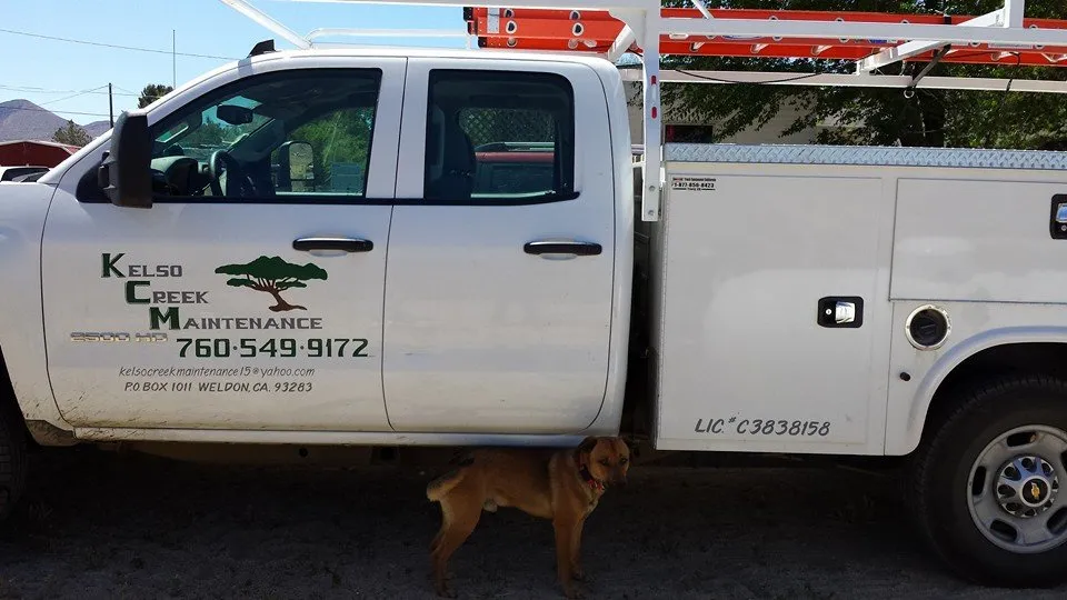 Professional garden landscaping for year-round maintenance in Weldon, CA by Kelso Creek Maintenance