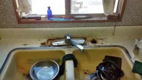 Affordable landscaping services in Weldon, CA - Kelso Creek Maintenance