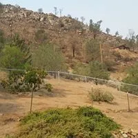 Top-rated yard maintenance for residential properties across Weldon, CA - Kelso Creek Maintenance