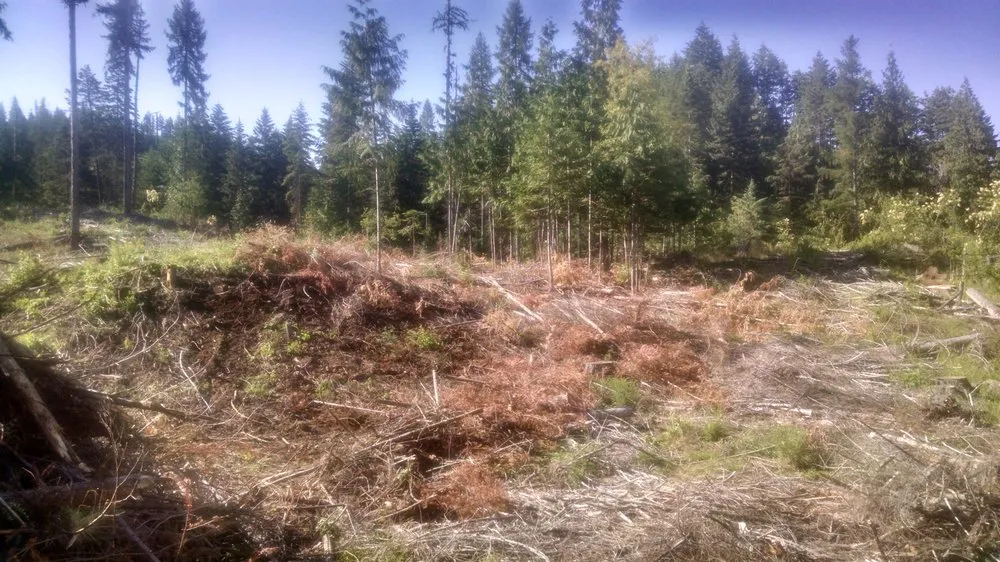 Trusted garden landscaping with custom design across Kalispell, MT - Kelso Excavation