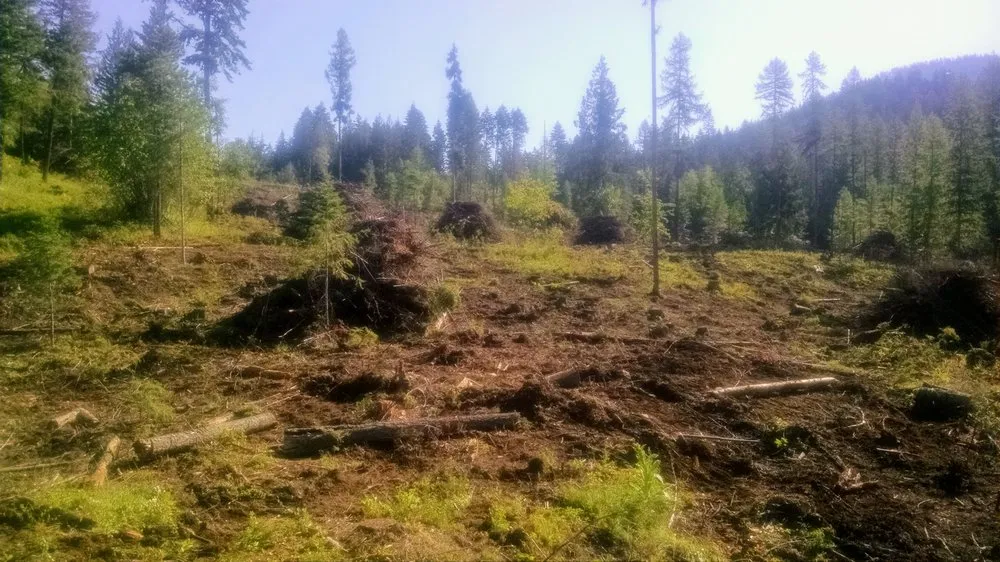 Custom garden landscaping for beautiful yards across Kalispell, MT - Kelso Excavation