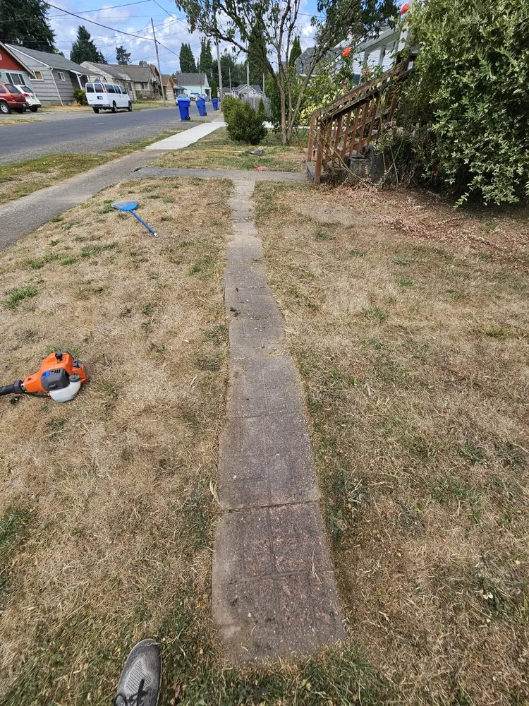 Affordable yard maintenance for beautiful yards in Kelso, WA by Kelso Lawn Services