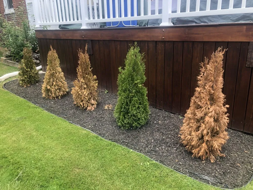 Professional landscape installation experts serving Pottstown, PA - Keltic Green