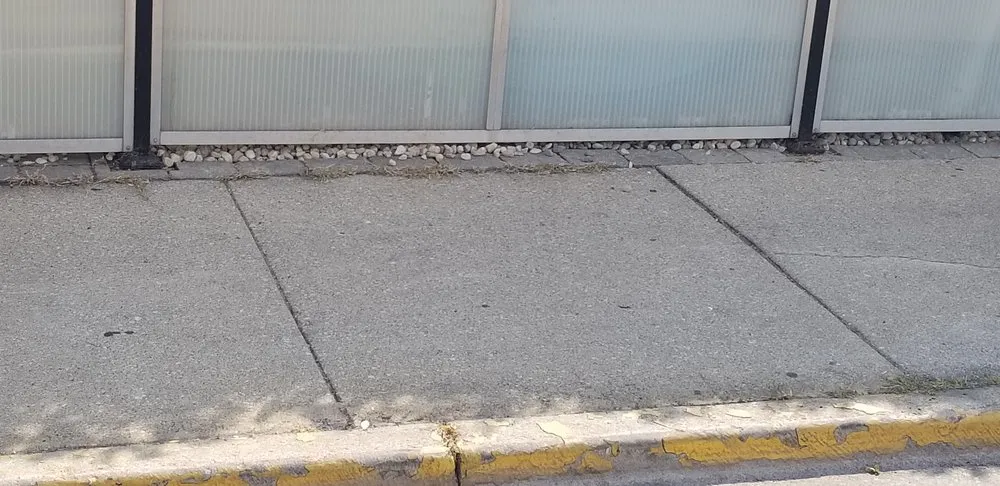 Trusted yard cleanup service for residential properties in River Forest, IL by Kelty Lawn Care