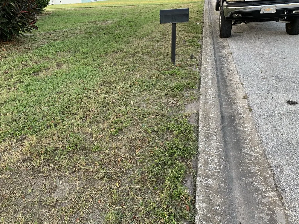 Local yard maintenance in Sarasota, FL by Kelvins All Around Lawn Care