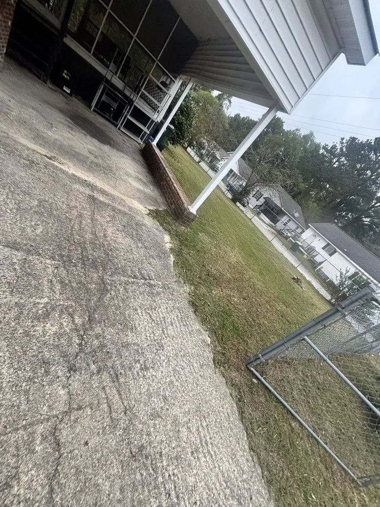 Local yard cleanup service experts serving Williamston, NC - Kemauri L