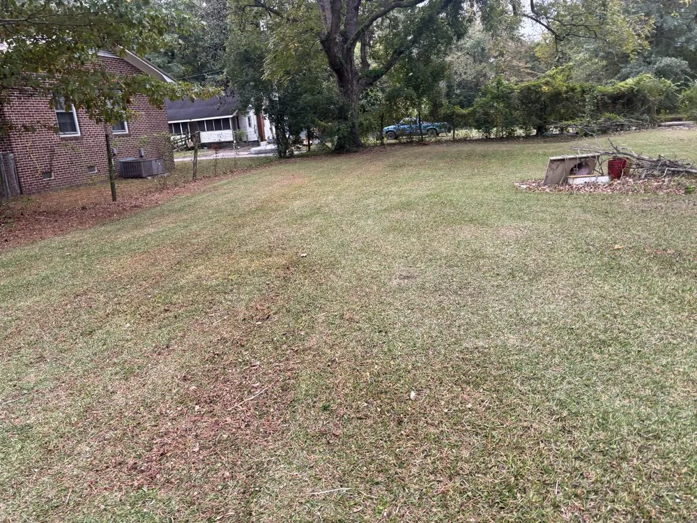 Local lawn mowing service in Williamston, NC - Kemauri L