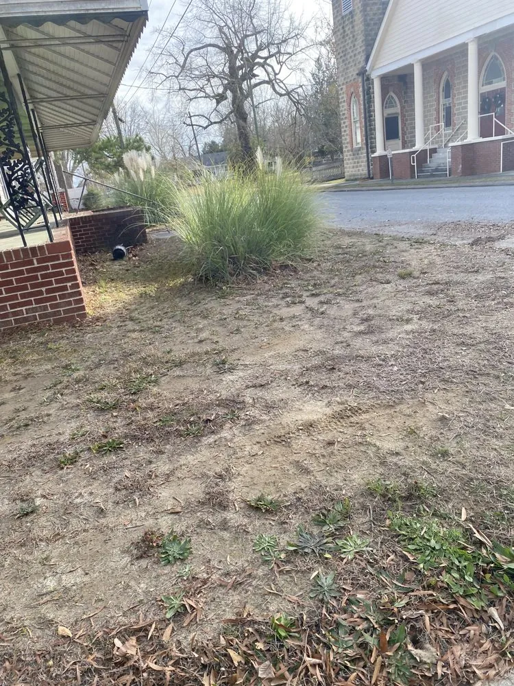 Top-rated garden landscaping in Williamston, NC - Kemauri L