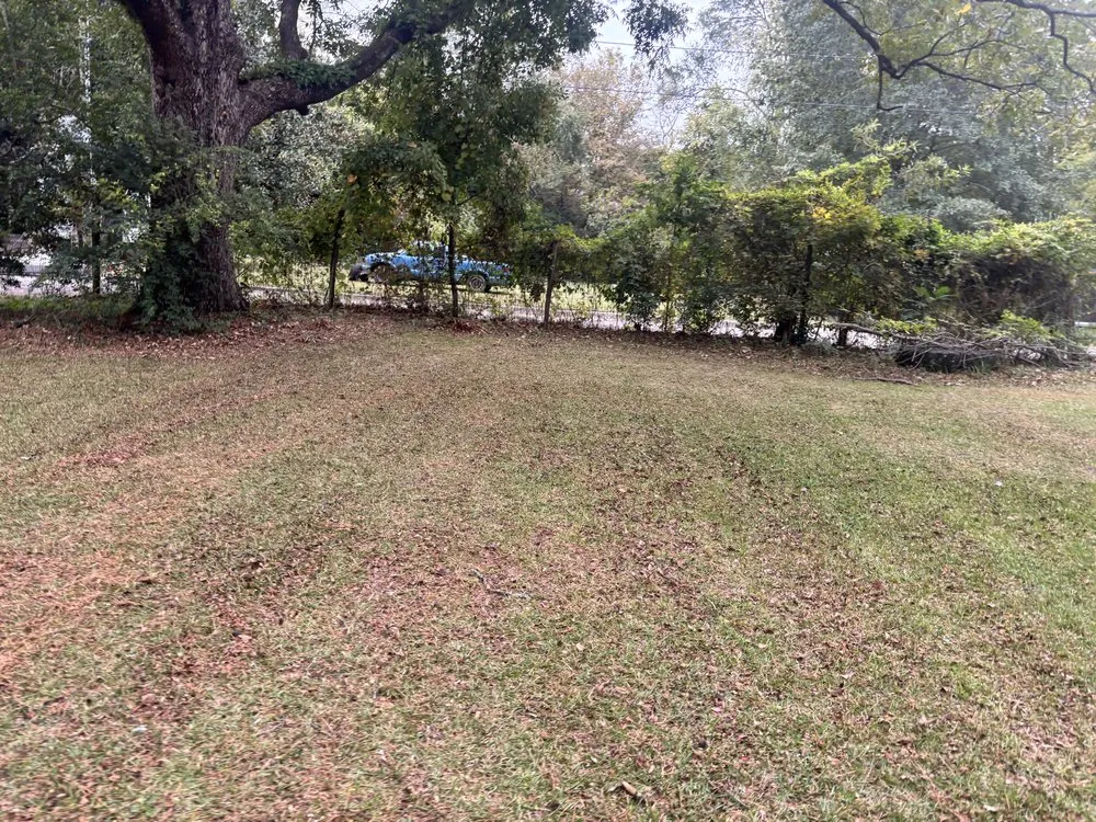 Reliable residential landscaping experts serving Williamston, NC - Kemauri L