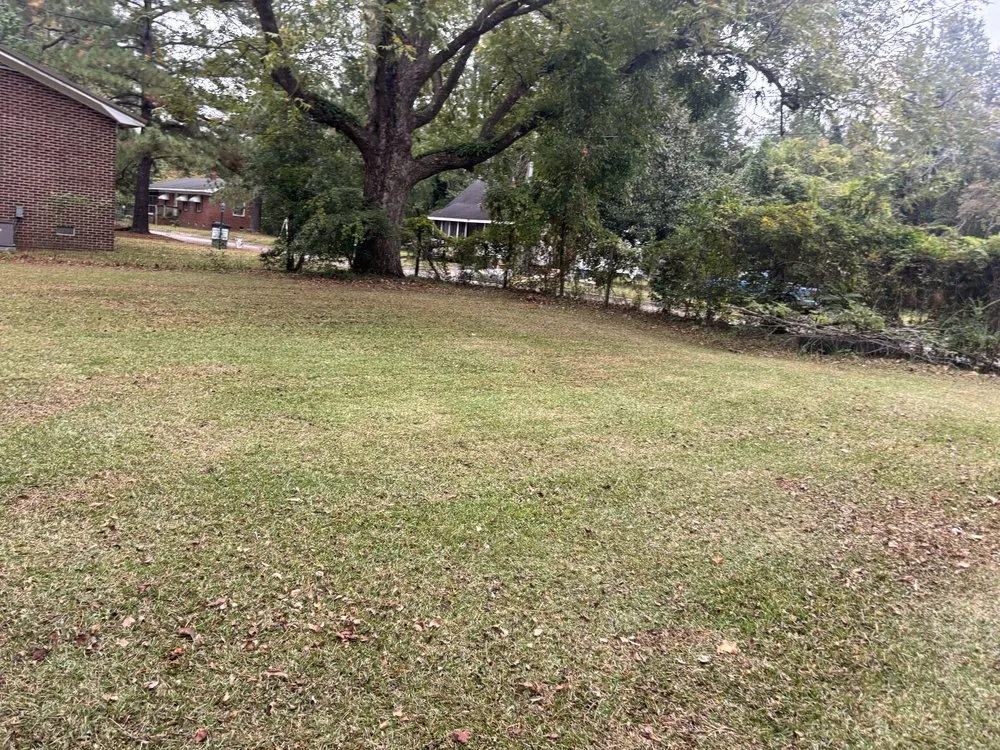 Professional outdoor landscaping in Williamston, NC by Kemauri L