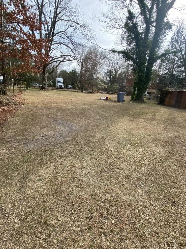 Custom yard cleanup service experts serving Williamston, NC - Kemauri L