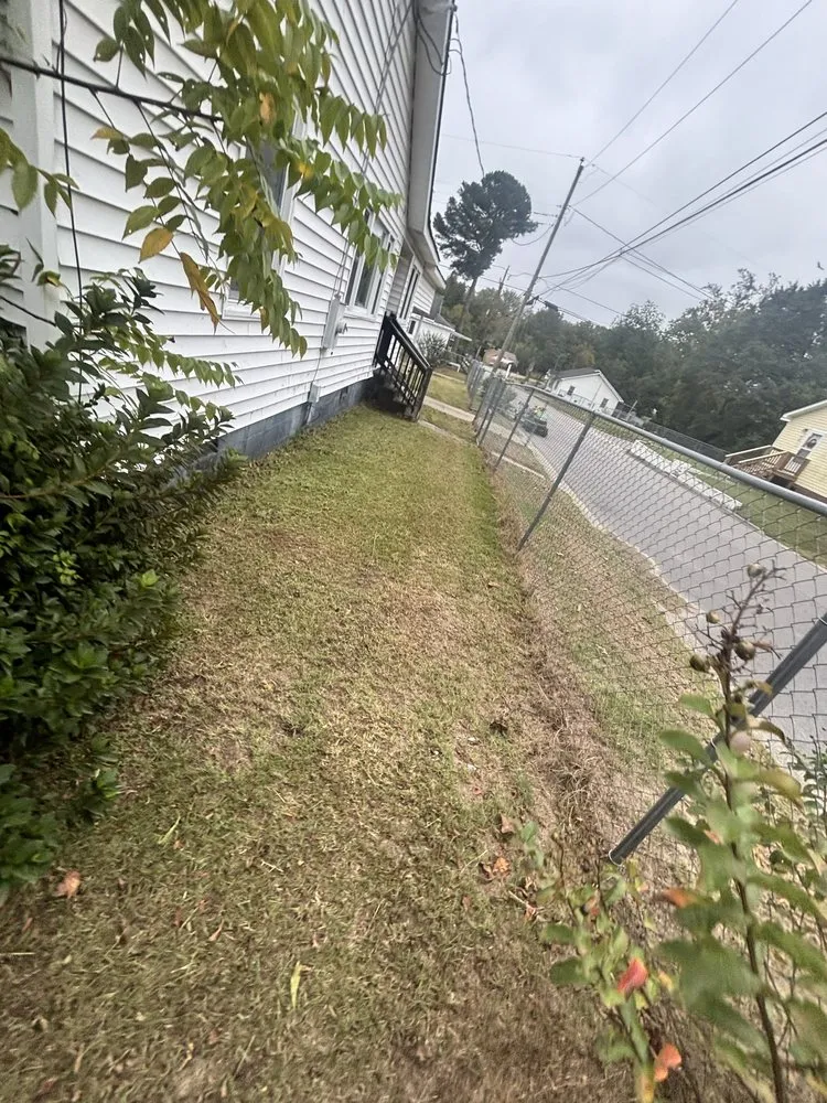 Expert outdoor landscaping for year-round maintenance across Williamston, NC - Kemauri L