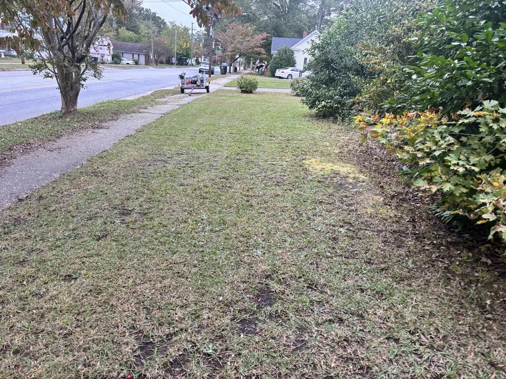 Local lawn care service for outdoor upgrades in Williamston, NC by Kemauri L