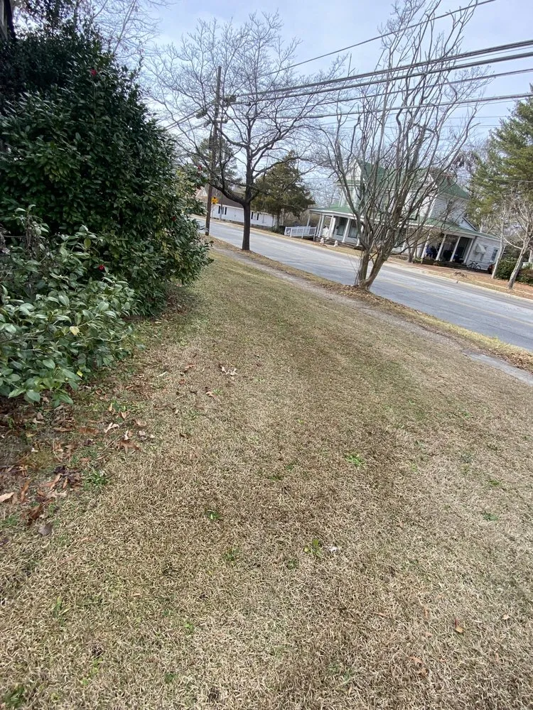 Reliable landscape installation in Williamston, NC - Kemauri L