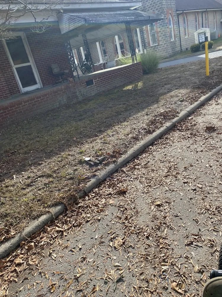 Top-rated yard cleanup service in Williamston, NC by Kemauri L