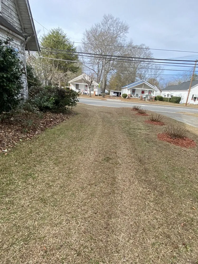 Top-rated yard maintenance near you across Williamston, NC - Kemauri L