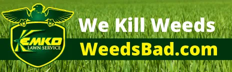 Trusted yard cleanup service experts serving Cumming, GA - Kemko Lawn Service