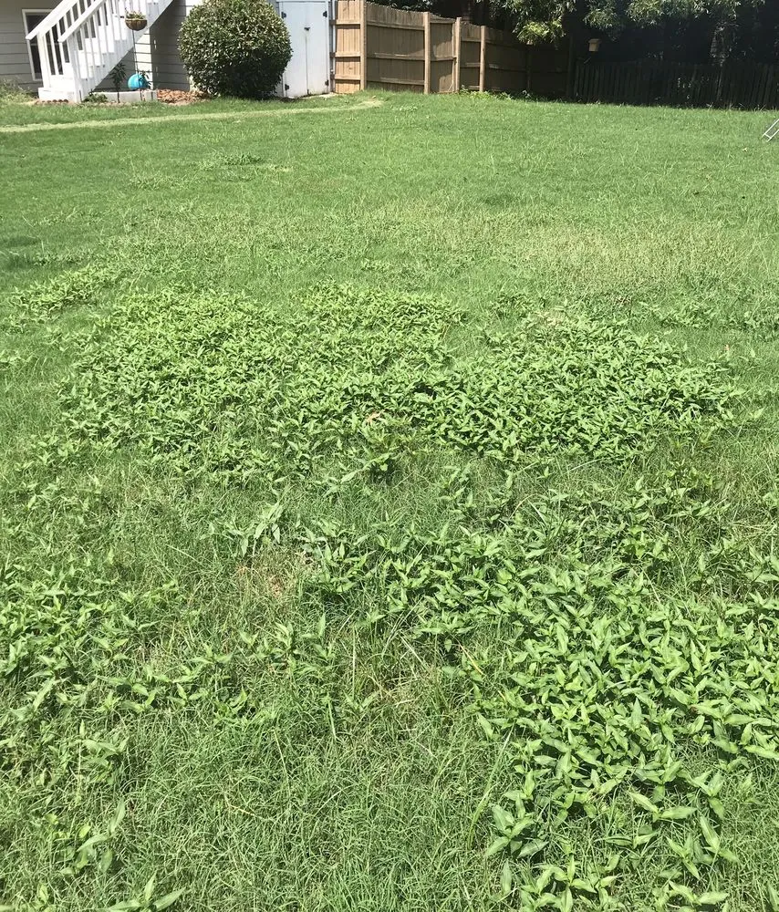 Reliable yard cleanup service for outdoor upgrades in Loganville, GA by Kemko Lawn Service