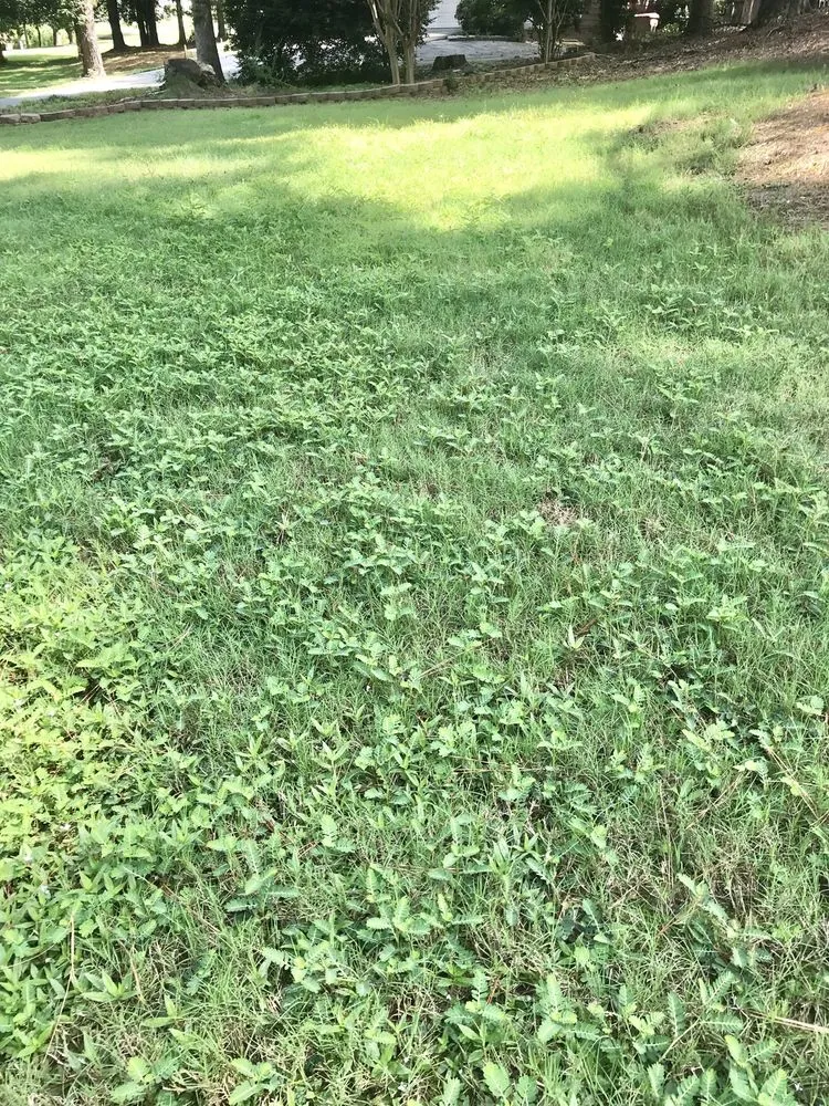 Reliable landscape design near you in Loganville, GA by Kemko Lawn Service