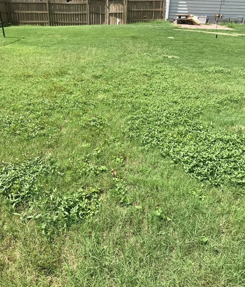 Custom landscaping services in Loganville, GA - Kemko Lawn Service