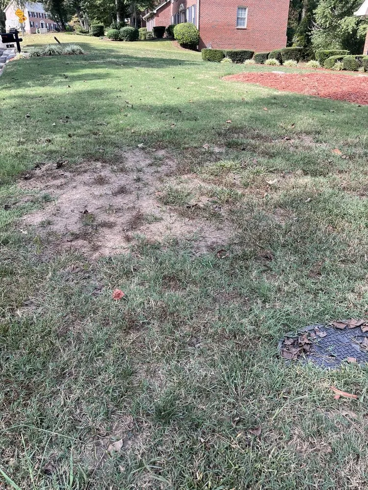 Local residential landscaping experts serving Loganville, GA - Kemko Lawn Service