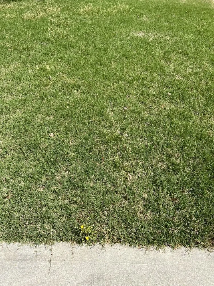 Professional residential landscaping experts serving Loganville, GA - Kemko Lawn Service