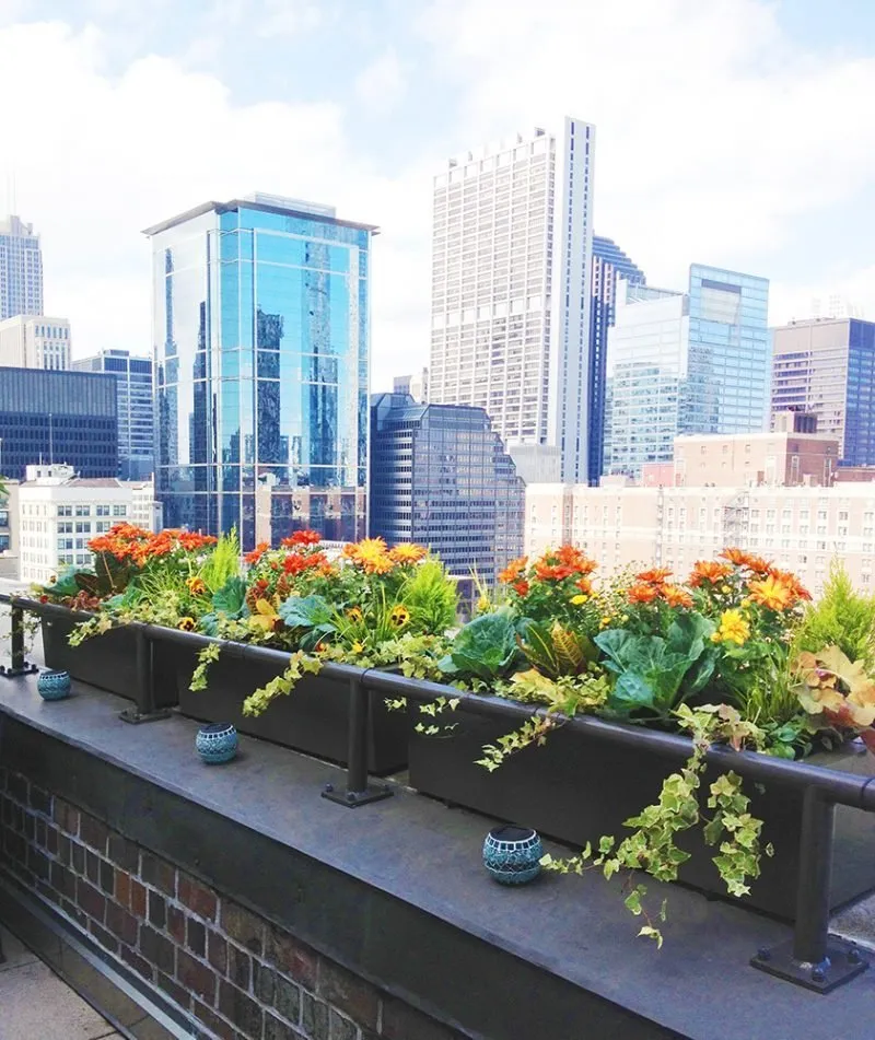 Local garden landscaping in Chicago, IL by Kemora Landscapes