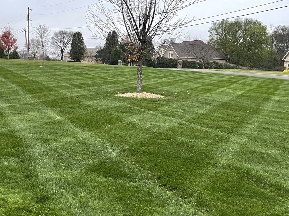 Affordable landscape design with custom design across Gallatin, TN - Kempco Landscaping