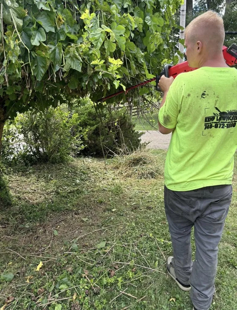 Top-rated lawn mowing service for beautiful yards across Newark, OH - Kemps Lawn Care