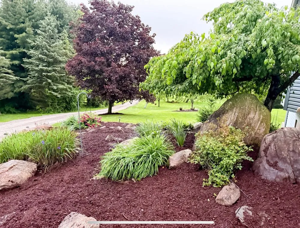 Professional yard cleanup service for homes across Newark, OH - Kemps Lawn Care