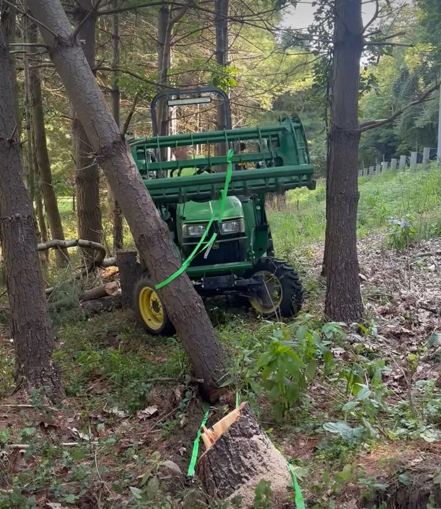 Expert lawn care service for beautiful yards in Newark, OH by Kemps Lawn Care