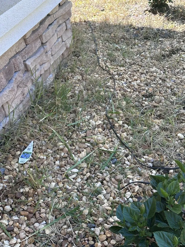 Trusted landscaping services experts serving Middleburg, FL - Ken D Lawns Plus