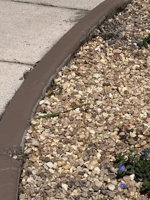 Ken D Lawns Plus Logo