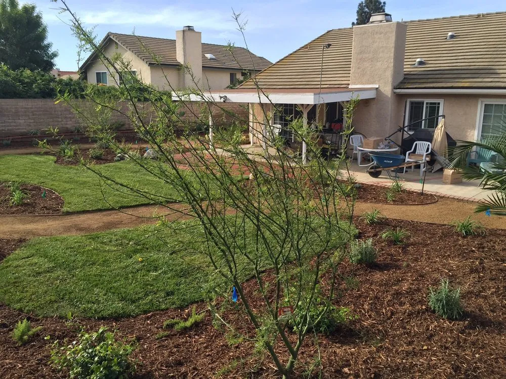 Local landscape design for year-round maintenance in Porter Ranch, CA by Ken Green Landscaping