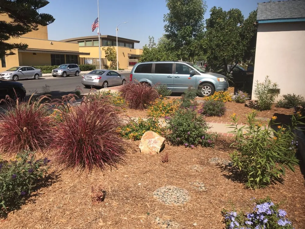 Professional yard maintenance in Porter Ranch, CA - Ken Green Landscaping