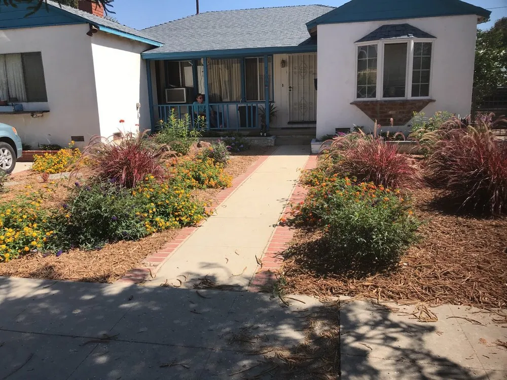 Professional yard cleanup service for residential properties across Porter Ranch, CA - Ken Green Landscaping