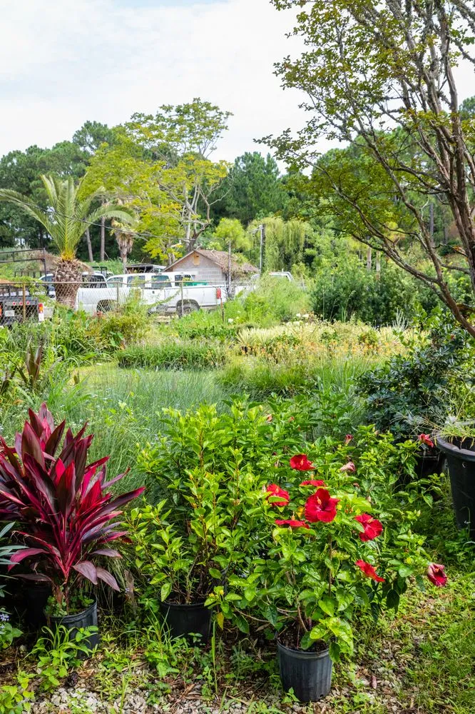 Local outdoor landscaping for residential properties across Gulf Breeze, FL - Ken Griffin Landscape Contractors