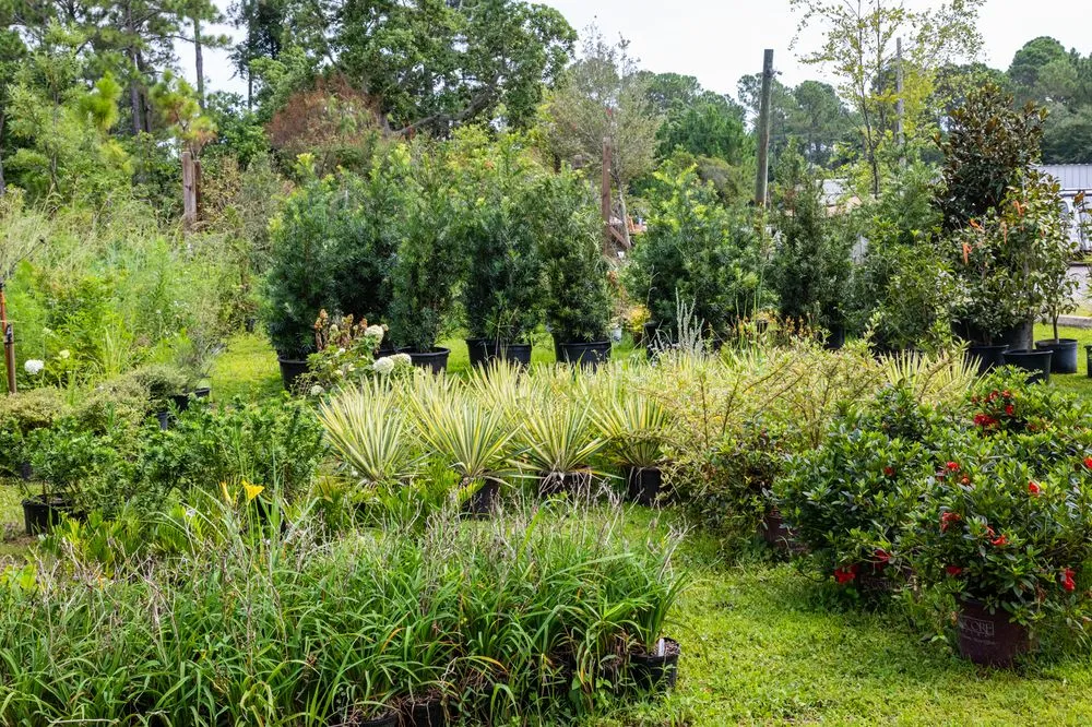 Expert landscape installation experts serving Gulf Breeze, FL - Ken Griffin Landscape Contractors