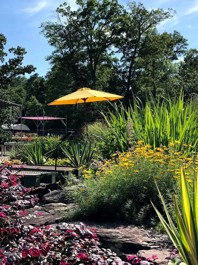 Affordable landscape installation near you in Yorktown, VA by Ken Matthews Garden Center