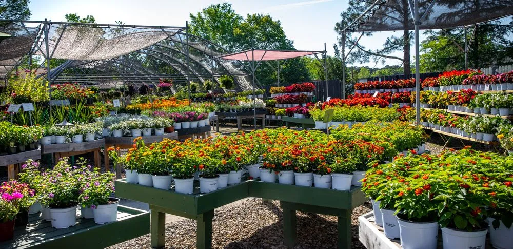 Custom lawn mowing service in Yorktown, VA by Ken Matthews Garden Center